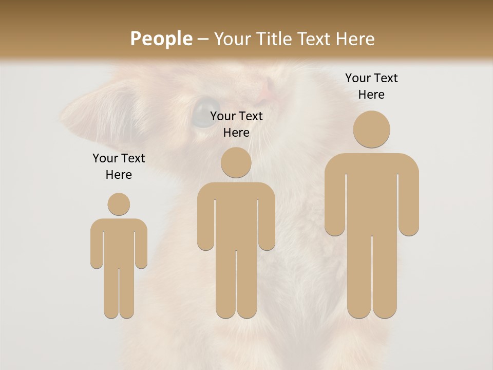 Render Tall Global PowerPoint Template