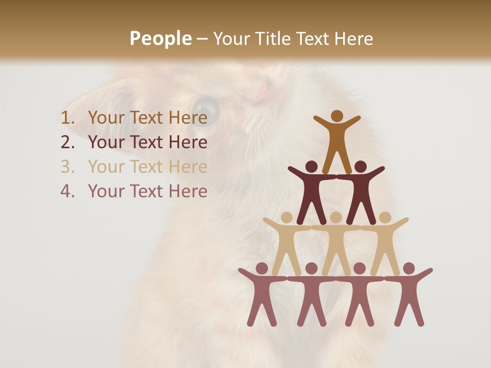 Render Tall Global PowerPoint Template