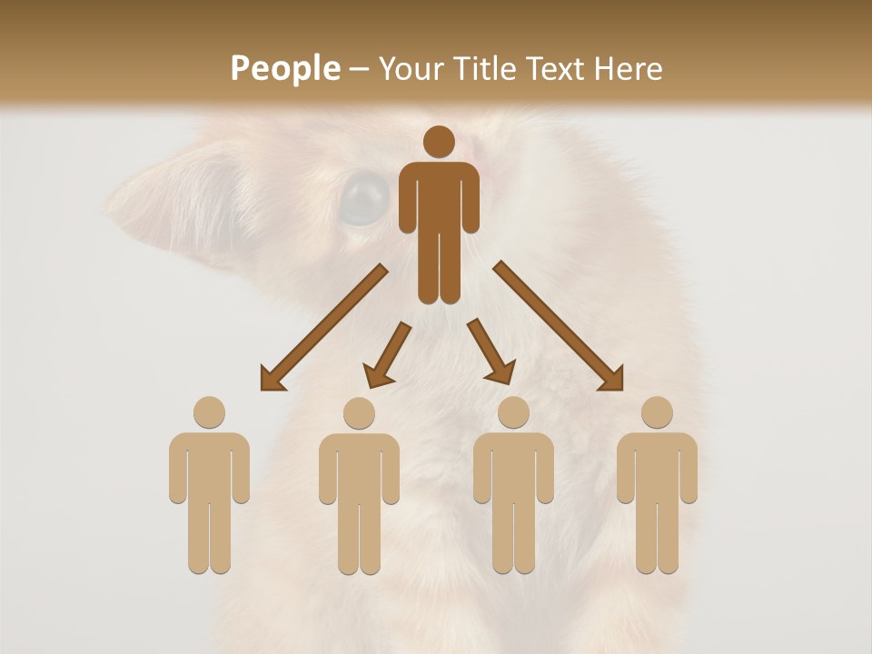 Render Tall Global PowerPoint Template