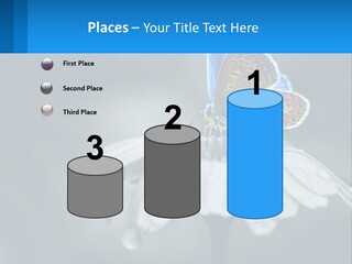 Animal Closeup Beautiful PowerPoint Template