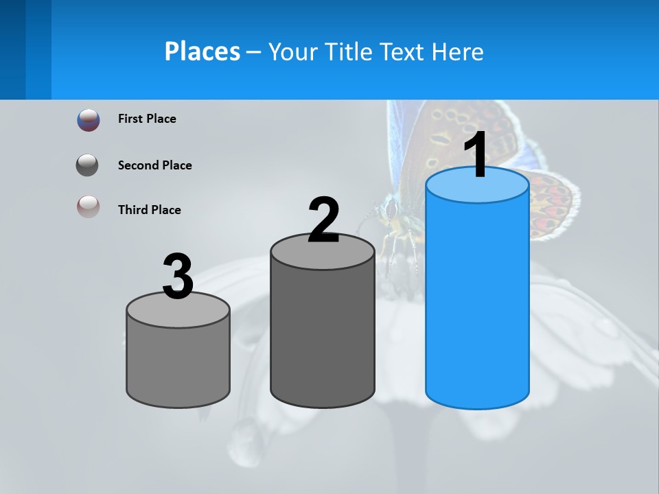 Animal Closeup Beautiful PowerPoint Template