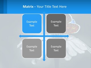 Animal Closeup Beautiful PowerPoint Template