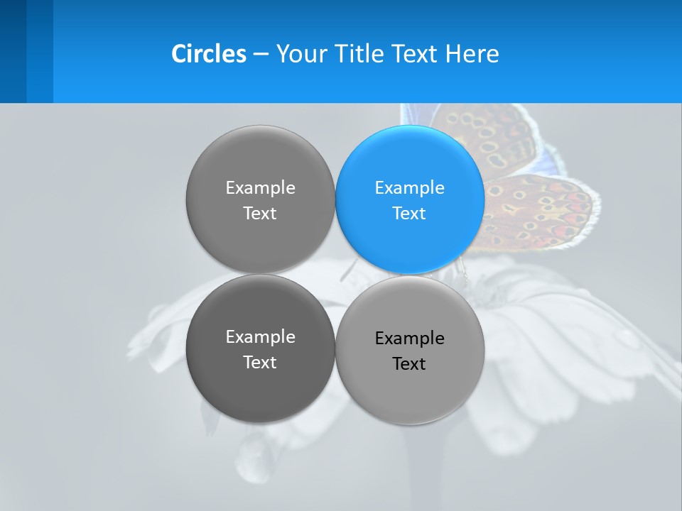 Animal Closeup Beautiful PowerPoint Template