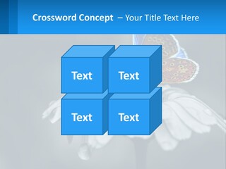 Animal Closeup Beautiful PowerPoint Template