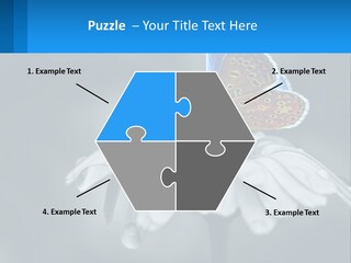 Animal Closeup Beautiful PowerPoint Template