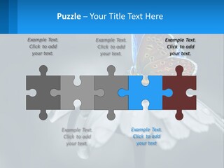 Animal Closeup Beautiful PowerPoint Template