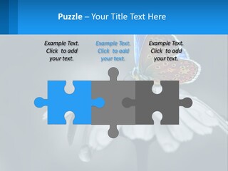 Animal Closeup Beautiful PowerPoint Template