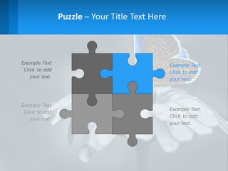 Animal Closeup Beautiful PowerPoint Template