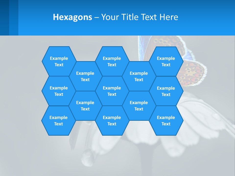 Animal Closeup Beautiful PowerPoint Template