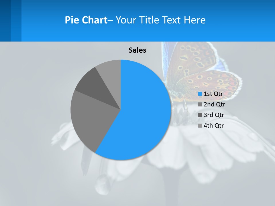 Animal Closeup Beautiful PowerPoint Template
