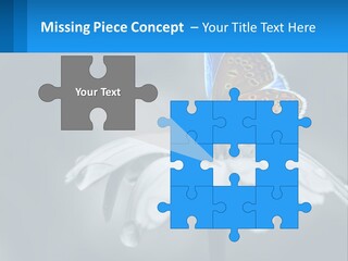 Animal Closeup Beautiful PowerPoint Template