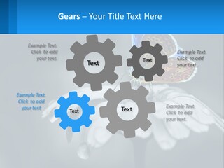 Animal Closeup Beautiful PowerPoint Template