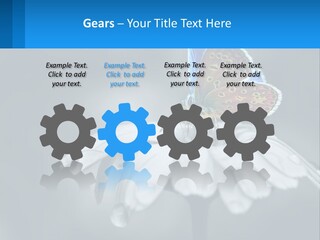 Animal Closeup Beautiful PowerPoint Template