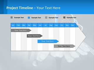 Animal Closeup Beautiful PowerPoint Template
