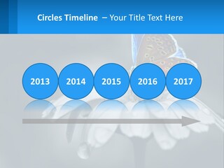 Animal Closeup Beautiful PowerPoint Template