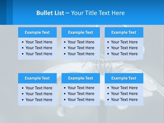 Animal Closeup Beautiful PowerPoint Template