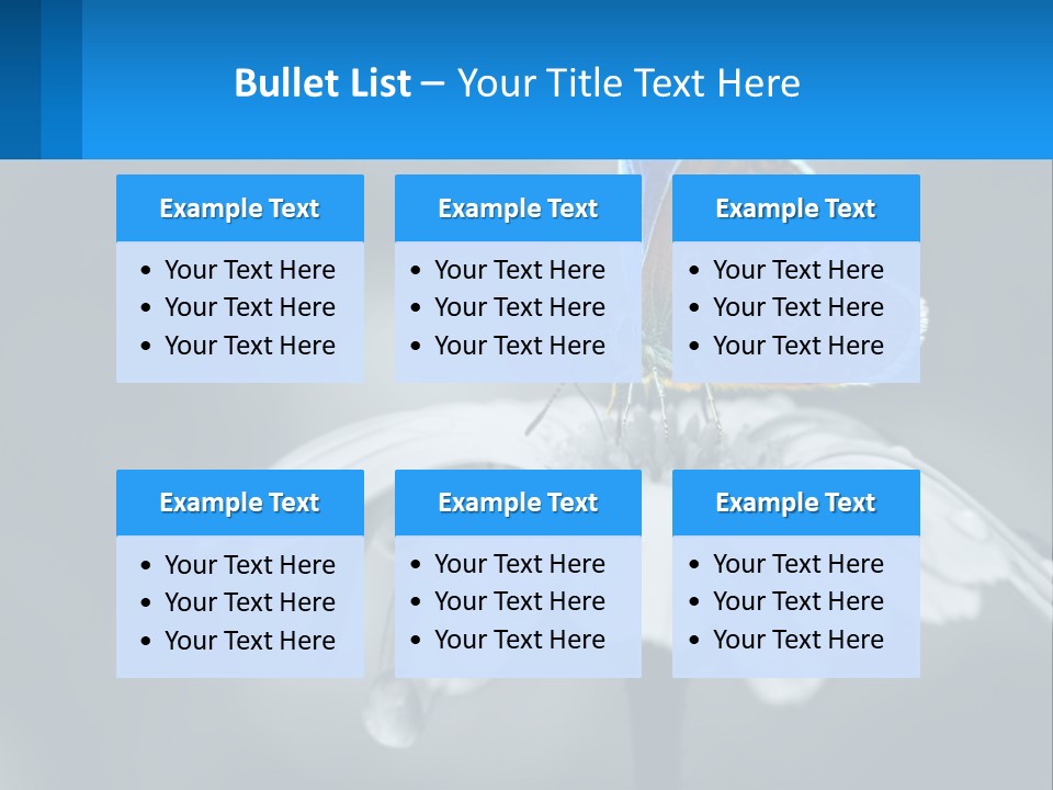 Animal Closeup Beautiful PowerPoint Template