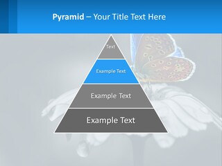 Animal Closeup Beautiful PowerPoint Template