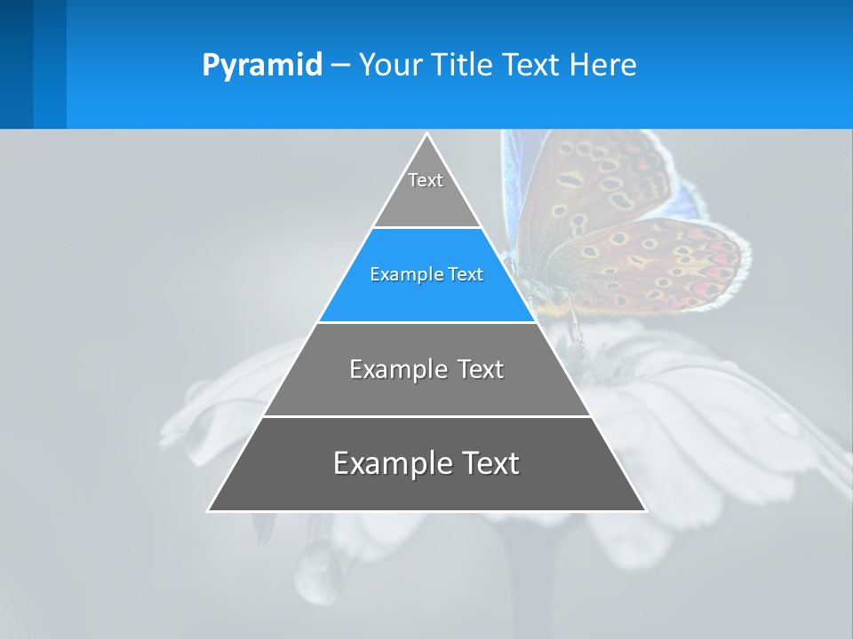 Animal Closeup Beautiful PowerPoint Template