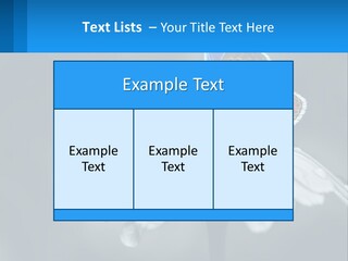 Animal Closeup Beautiful PowerPoint Template
