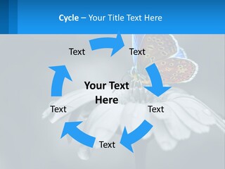 Animal Closeup Beautiful PowerPoint Template