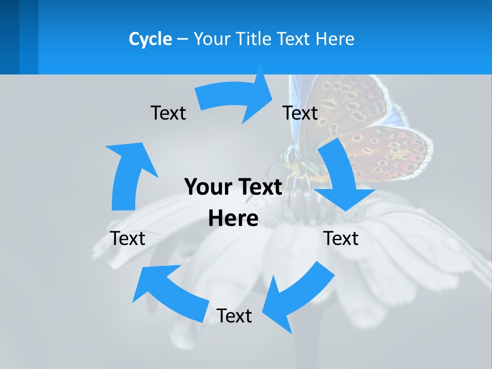 Animal Closeup Beautiful PowerPoint Template