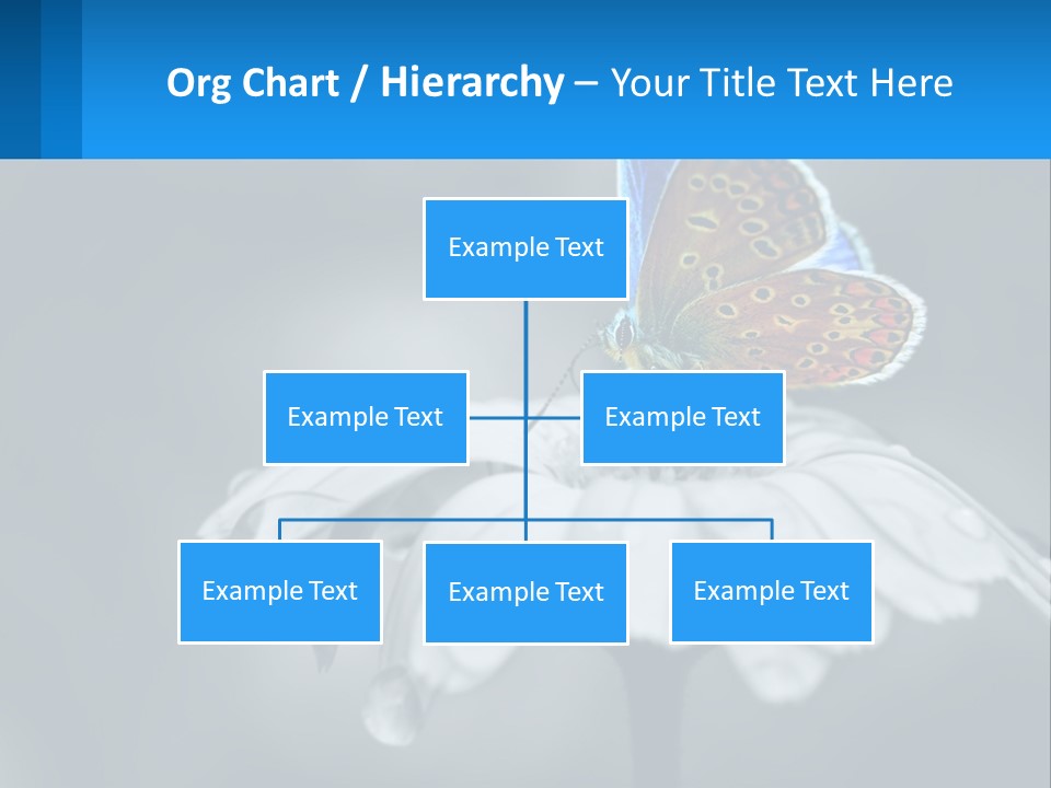 Animal Closeup Beautiful PowerPoint Template