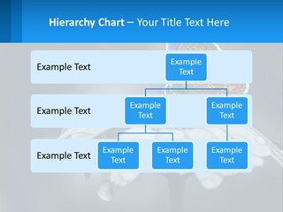 Animal Closeup Beautiful PowerPoint Template