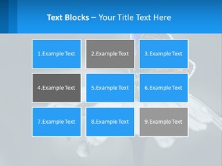 Animal Closeup Beautiful PowerPoint Template