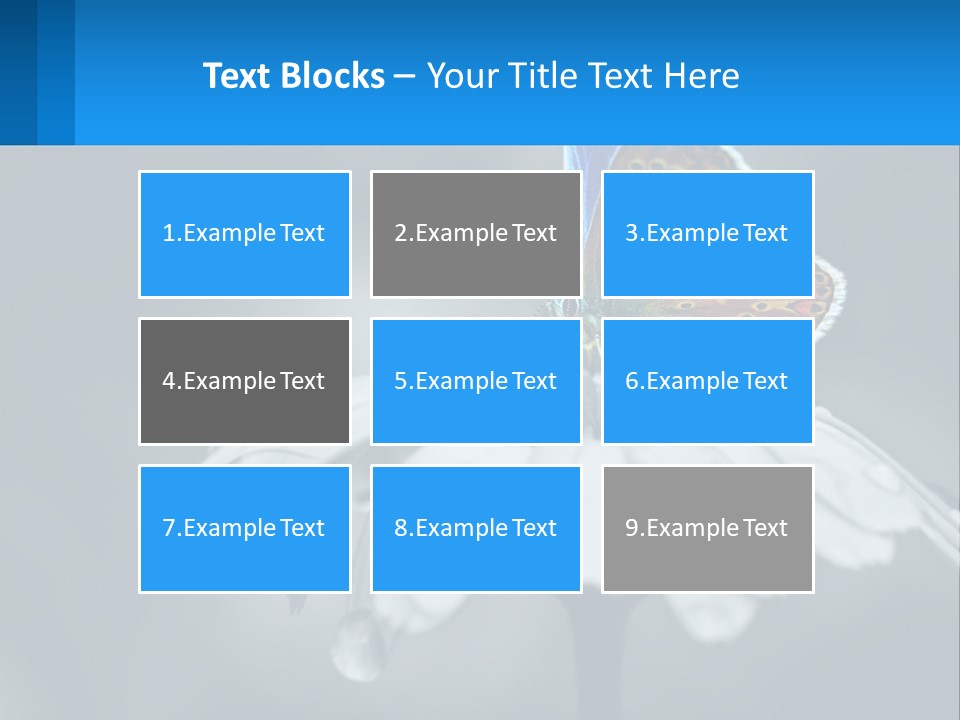 Animal Closeup Beautiful PowerPoint Template