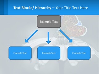 Animal Closeup Beautiful PowerPoint Template