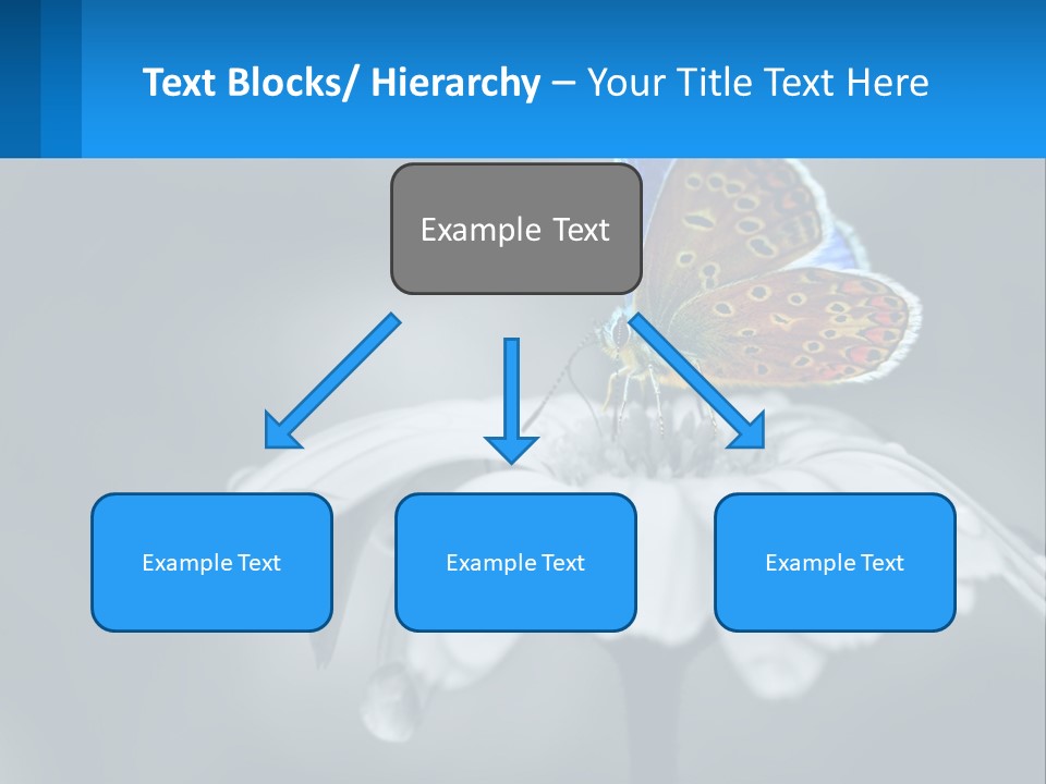 Animal Closeup Beautiful PowerPoint Template