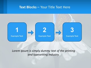 Animal Closeup Beautiful PowerPoint Template