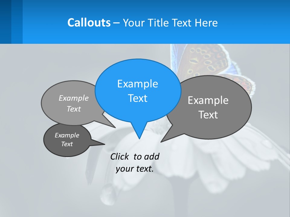 Animal Closeup Beautiful PowerPoint Template