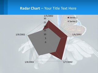 Animal Closeup Beautiful PowerPoint Template