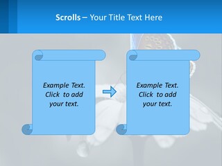 Animal Closeup Beautiful PowerPoint Template