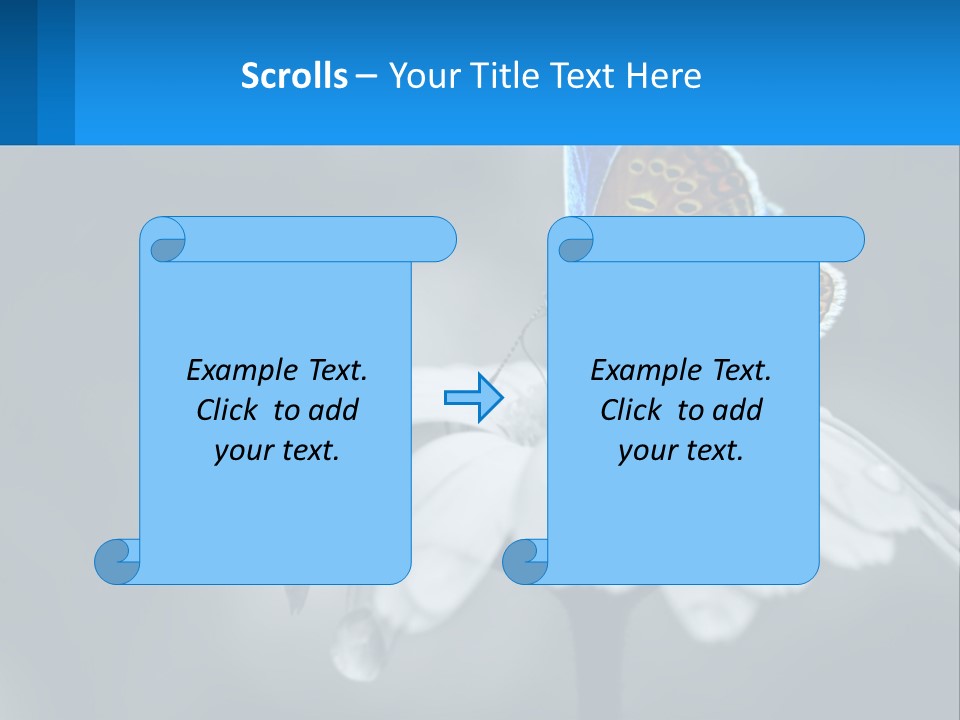 Animal Closeup Beautiful PowerPoint Template