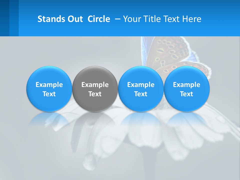 Animal Closeup Beautiful PowerPoint Template