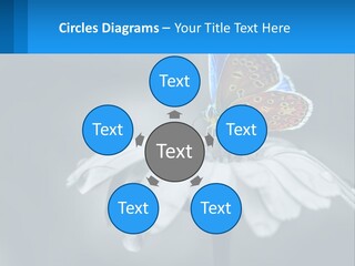 Animal Closeup Beautiful PowerPoint Template