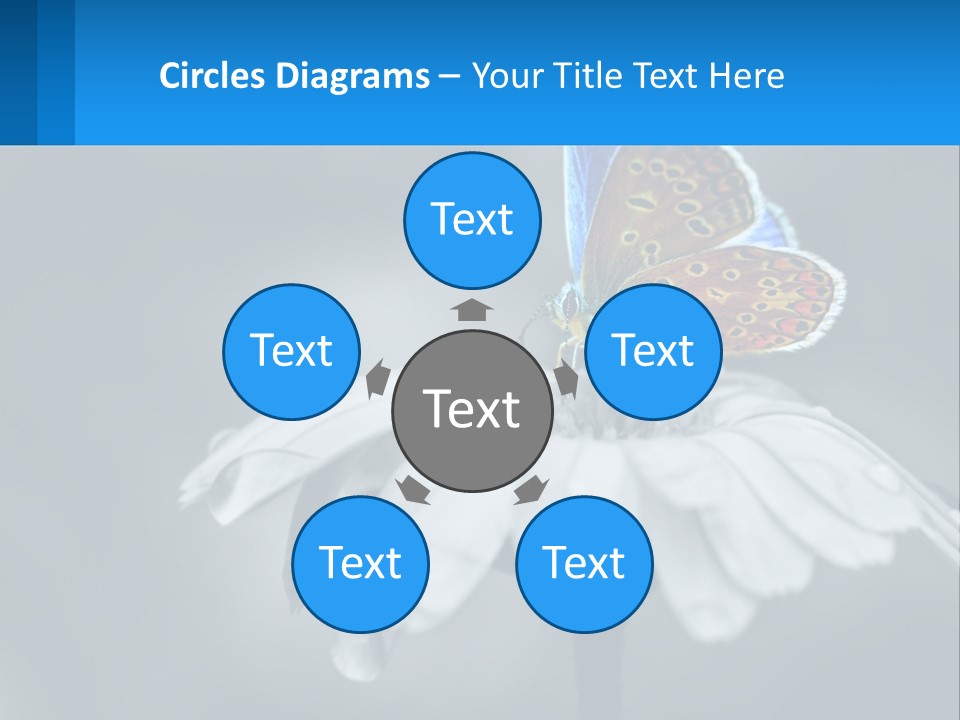 Animal Closeup Beautiful PowerPoint Template