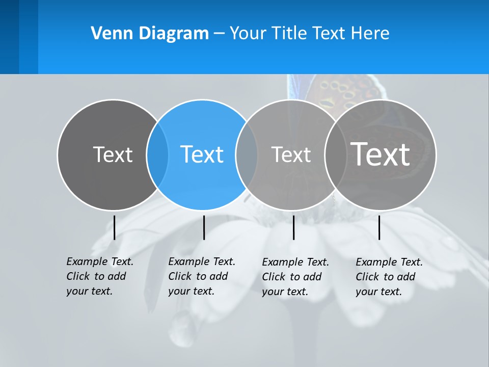 Animal Closeup Beautiful PowerPoint Template