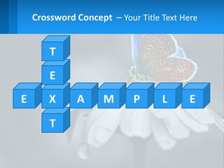 Animal Closeup Beautiful PowerPoint Template