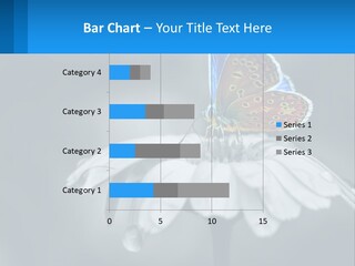 Animal Closeup Beautiful PowerPoint Template