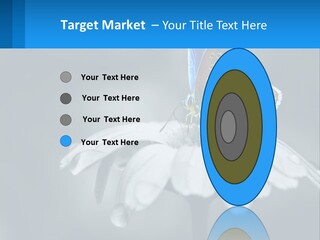 Animal Closeup Beautiful PowerPoint Template