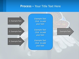 Animal Closeup Beautiful PowerPoint Template