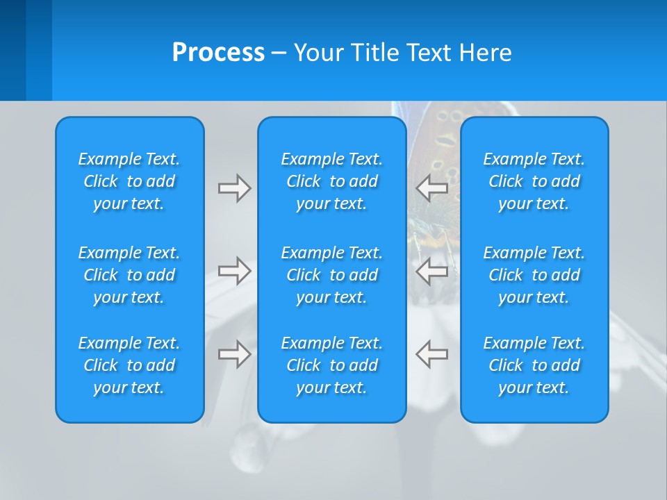 Animal Closeup Beautiful PowerPoint Template