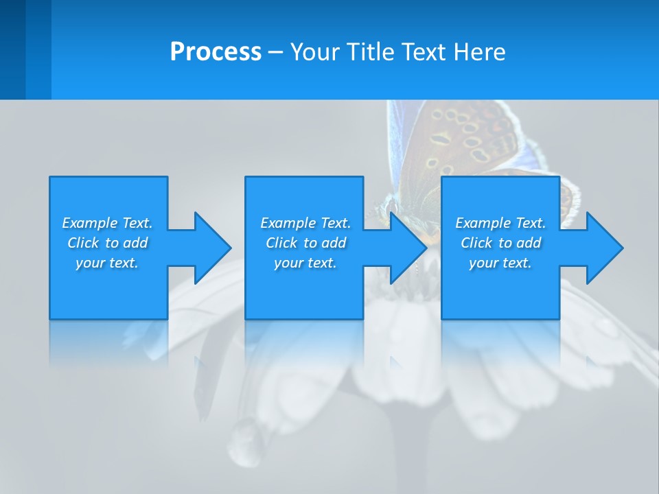 Animal Closeup Beautiful PowerPoint Template