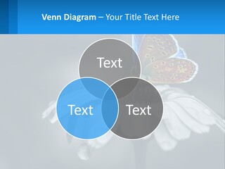 Animal Closeup Beautiful PowerPoint Template