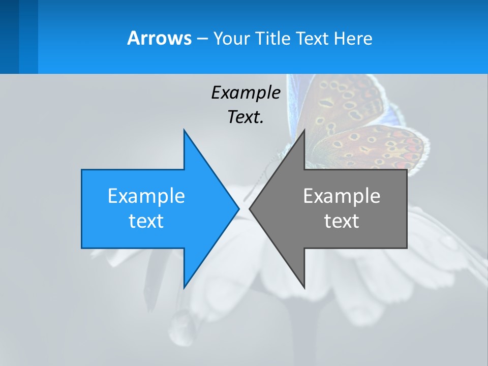 Animal Closeup Beautiful PowerPoint Template