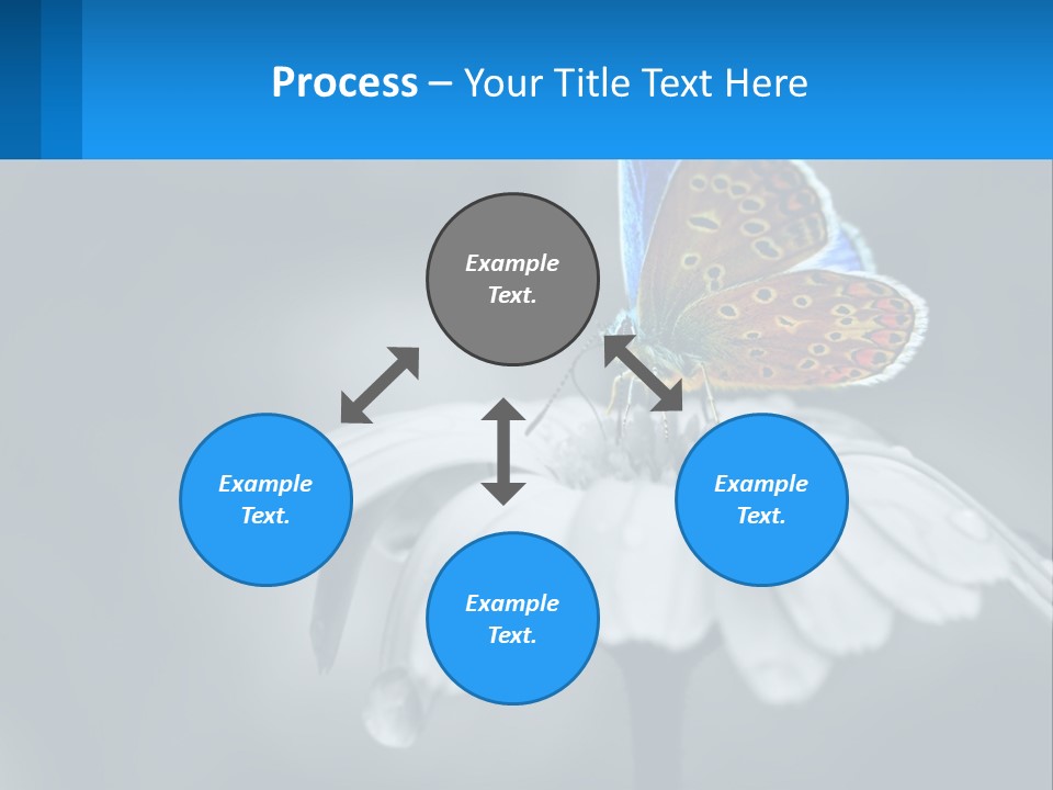 Animal Closeup Beautiful PowerPoint Template